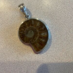 Fossil Ammonite Pendant with Sterling Silver Trim